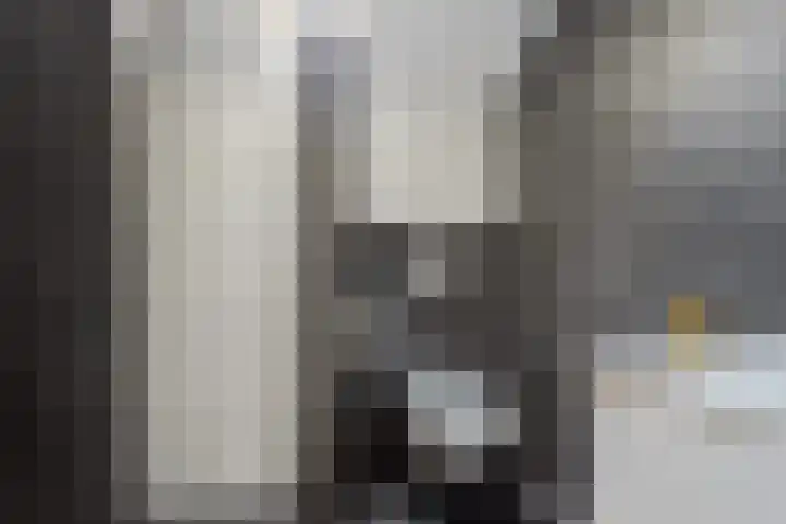 Hekkemansbeld 12 Hengevelde thumbnail 18