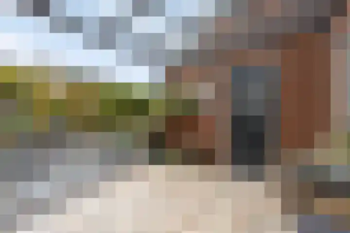 Hekkemansbeld 12 Hengevelde thumbnail 24