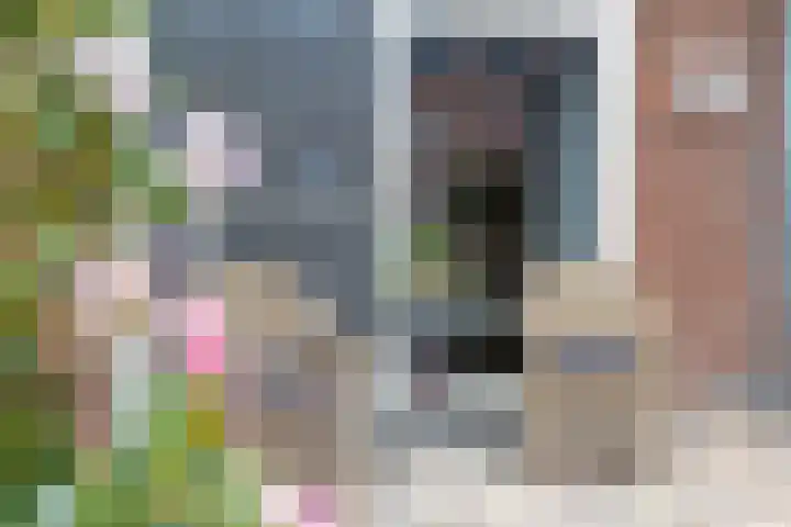 Hekkemansbeld 12 Hengevelde thumbnail 26