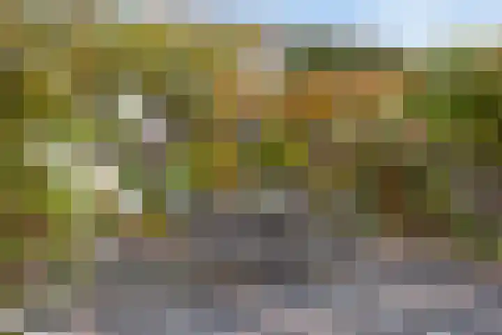 Hekkemansbeld 12 Hengevelde thumbnail 28