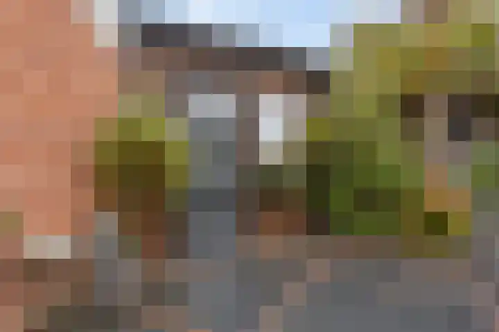 Hekkemansbeld 12 Hengevelde thumbnail 29