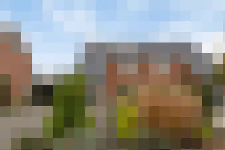 Hekkemansbeld 12 Hengevelde thumbnail 31