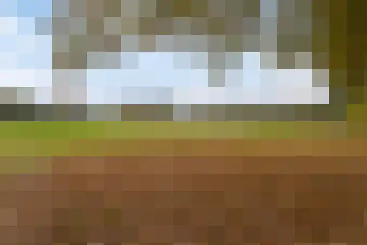 Hekkemansbeld 12 Hengevelde thumbnail 32