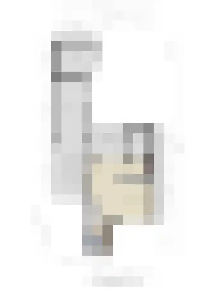 Hekkemansbeld 12 Hengevelde thumbnail 34