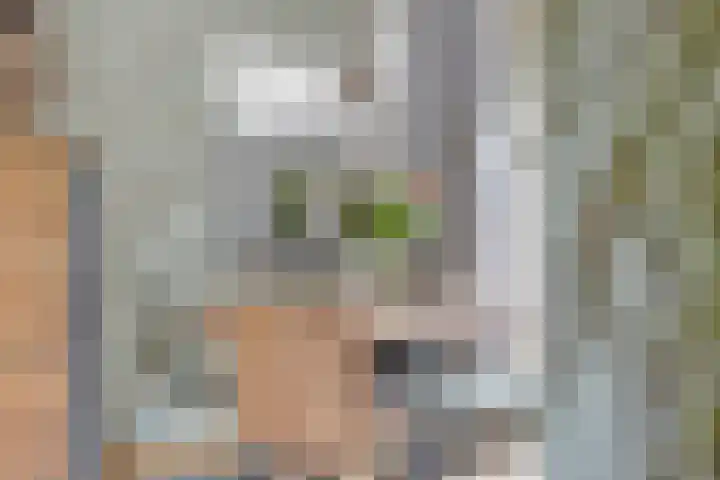 Hekkemansbeld 12 Hengevelde thumbnail 9