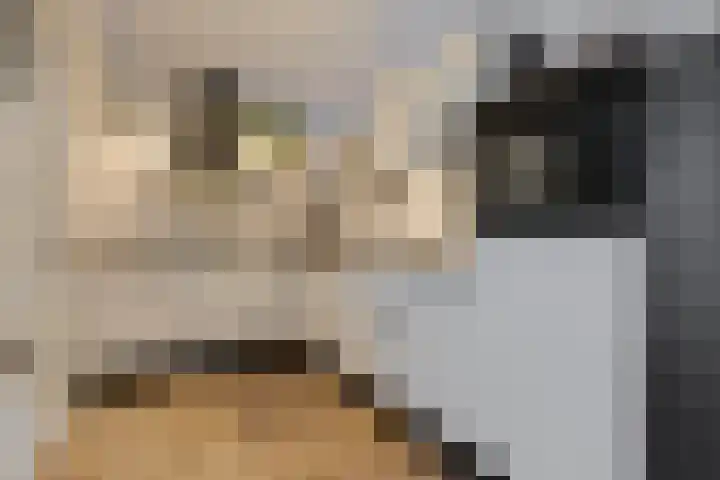 Hekkemansbeld 6 Hengevelde thumbnail 11