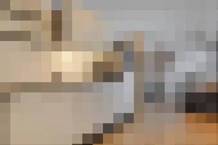 Hekkemansbeld 6 Hengevelde thumbnail 12