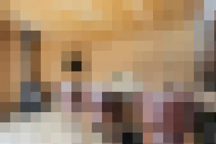 Hekkemansbeld 6 Hengevelde thumbnail 14
