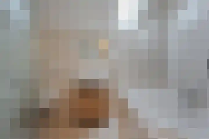 Hekkemansbeld 6 Hengevelde thumbnail 19