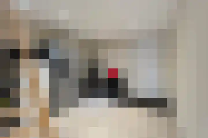 Hekkemansbeld 6 Hengevelde thumbnail 24