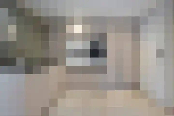 Hekkemansbeld 6 Hengevelde thumbnail 27