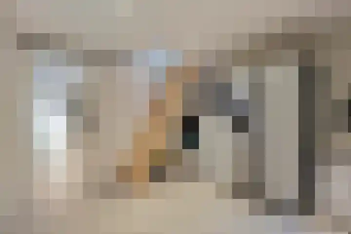 Hekkemansbeld 6 Hengevelde thumbnail 28