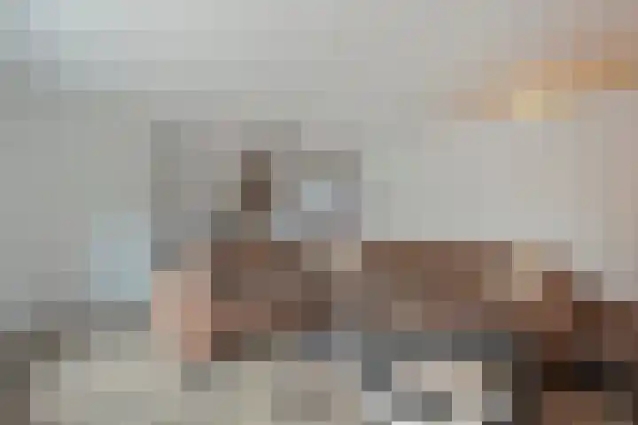 Hekkemansbeld 6 Hengevelde thumbnail 7
