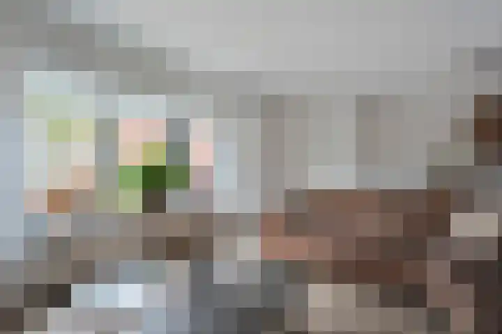 Hekkemansbeld 6 Hengevelde thumbnail 8