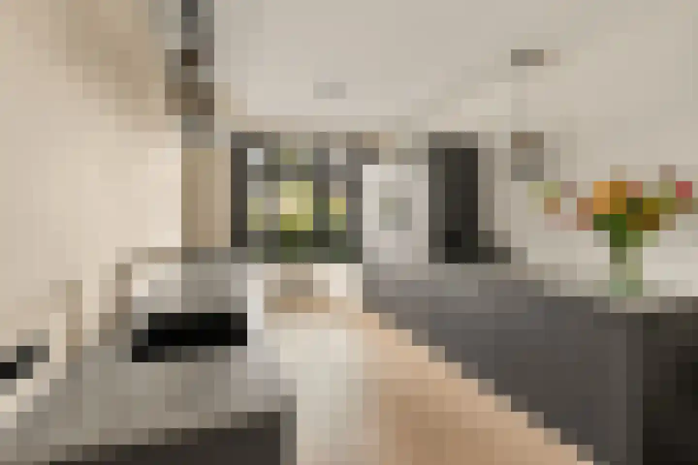 Hekkerdreef 44 Leusden thumbnail 13