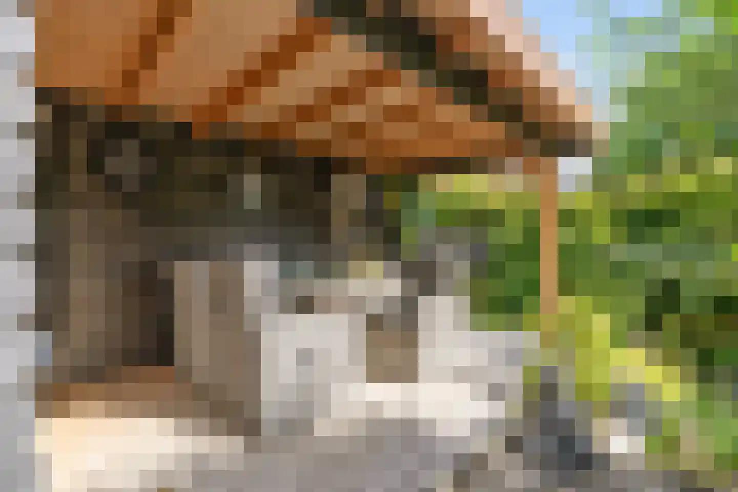 Hekkerdreef 44 Leusden thumbnail 18