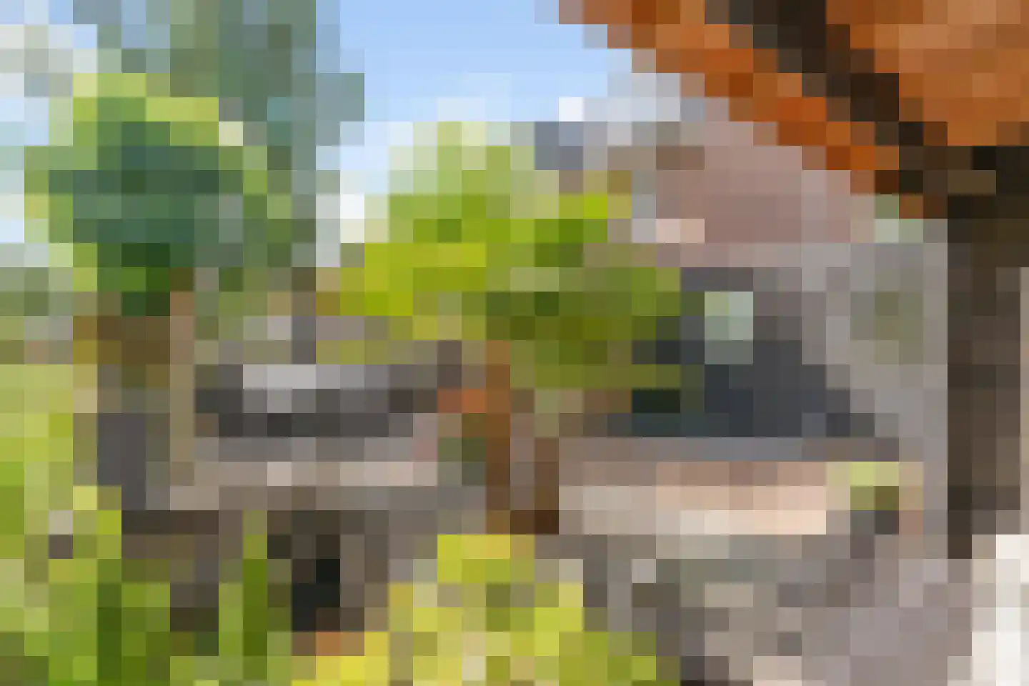 Hekkerdreef 44 Leusden thumbnail 20