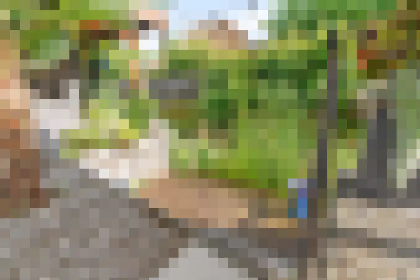 Hekkerdreef 44 Leusden thumbnail 22