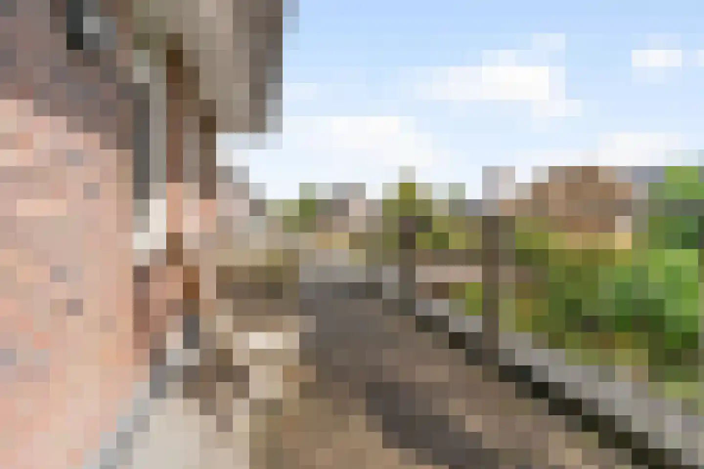 Hekkerdreef 44 Leusden thumbnail 28