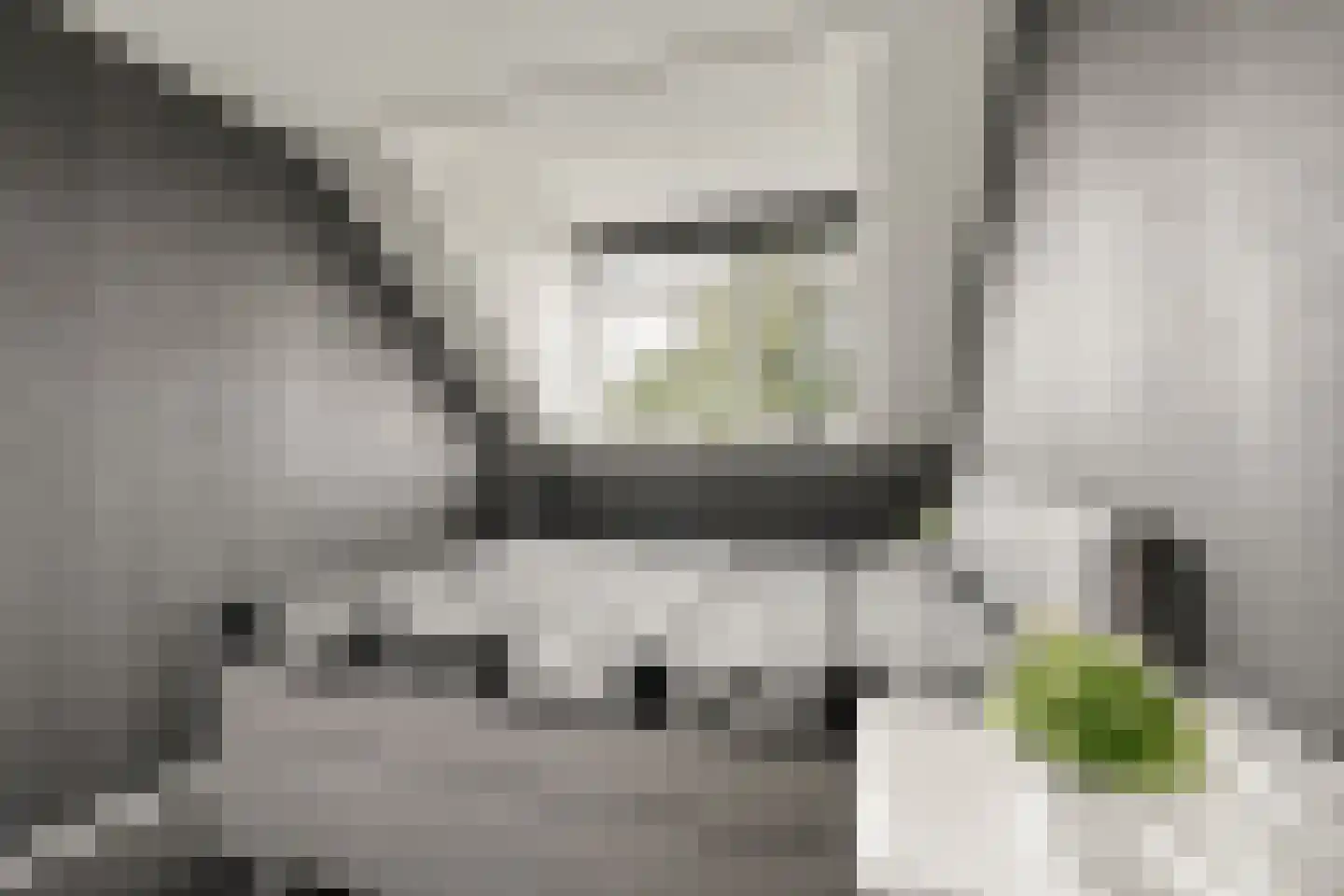 Hekkerdreef 44 Leusden thumbnail 37
