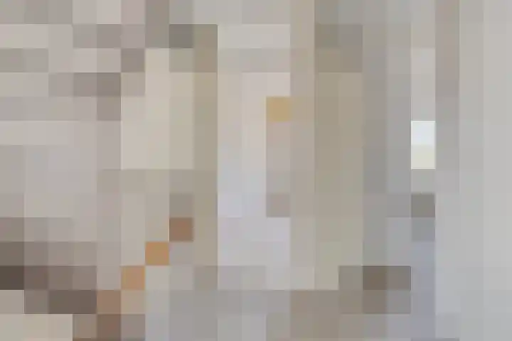 Hekkeslag 22 Uden thumbnail 21