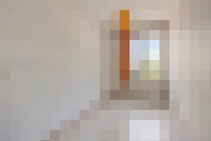 Hekkeslag 22 Uden thumbnail 22