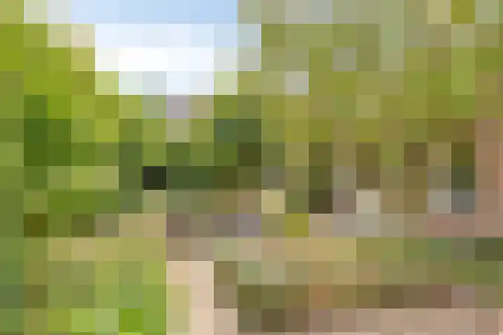 Hekkeslag 22 Uden thumbnail 35