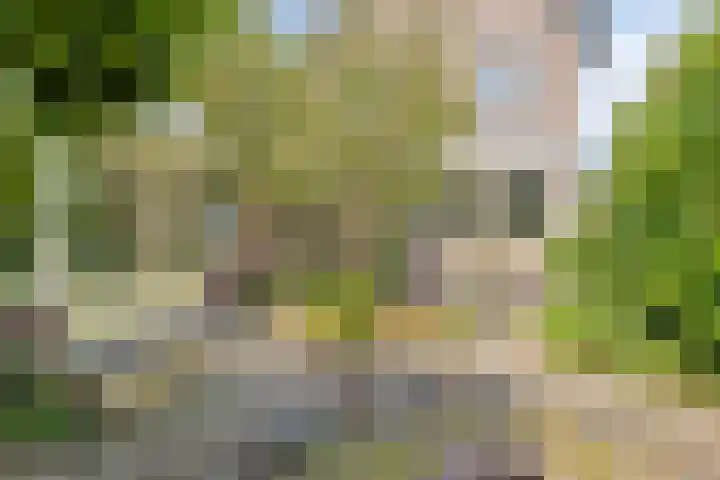Hekkeslag 22 Uden thumbnail 36