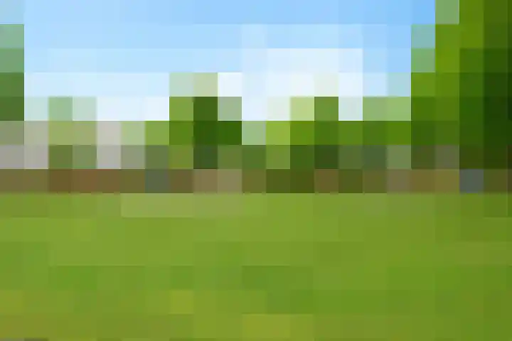 Hekkeslag 22 Uden thumbnail 40