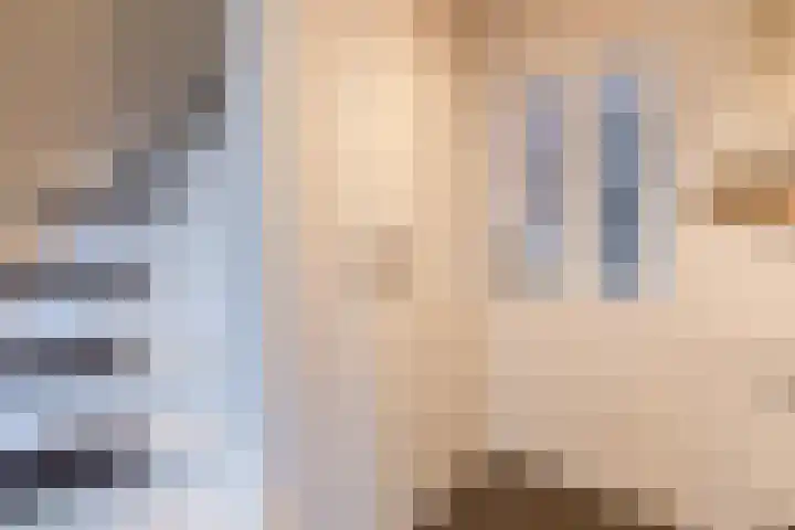 Hekkeslag 39 Uden thumbnail 15