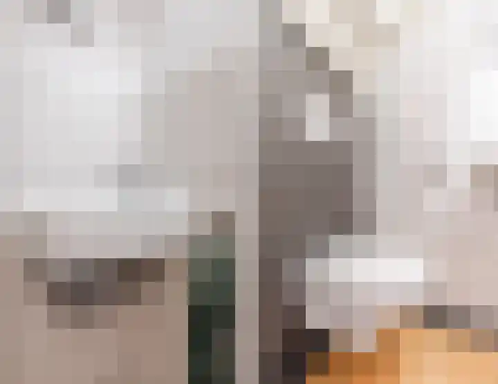 Hekkeslag 39 Uden thumbnail 19
