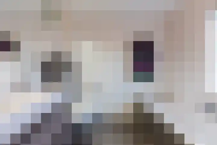 Hekkeslag 39 Uden thumbnail 27