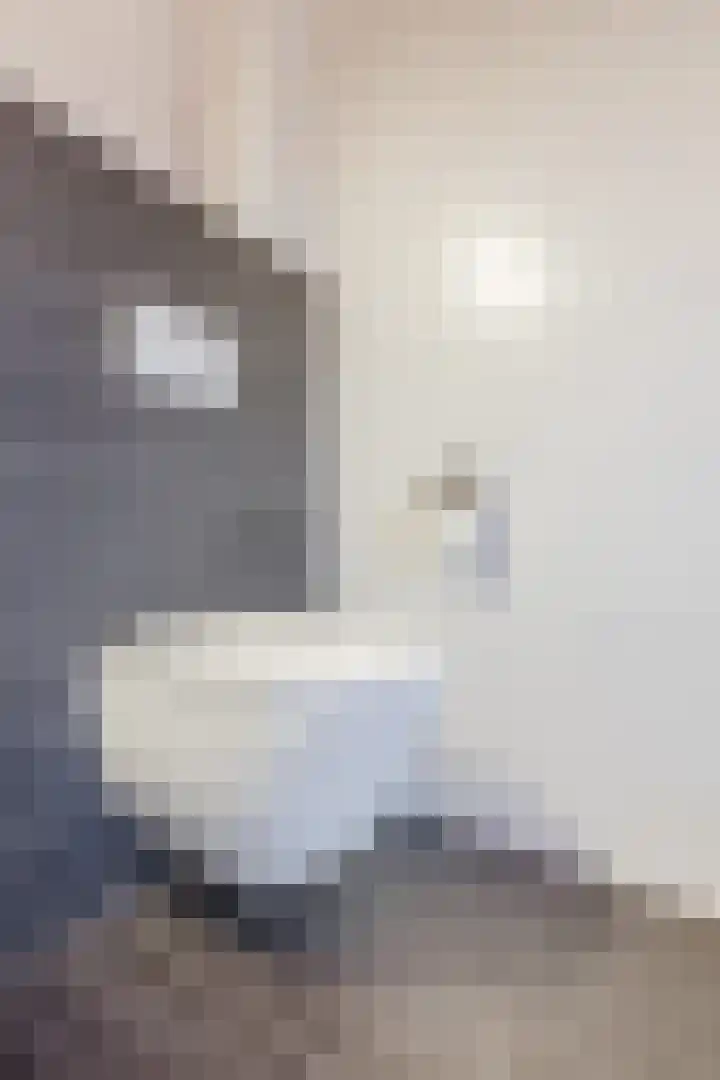 Hekkeslag 39 Uden thumbnail 31