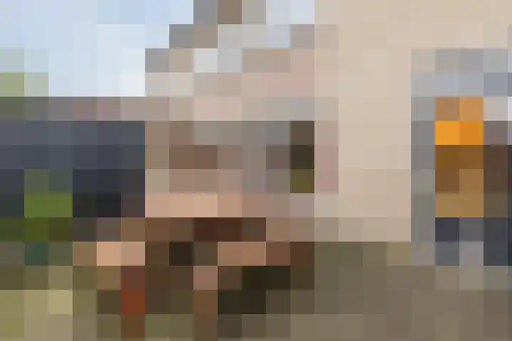 Hekkeslag 39 Uden thumbnail 40