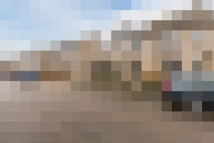 Hekkeslag 39 Uden thumbnail 45