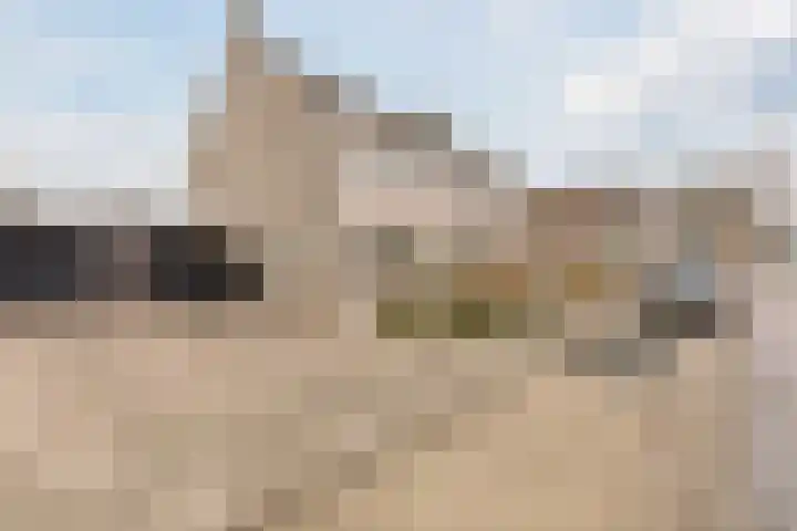 Hekkeslag 39 Uden thumbnail 48