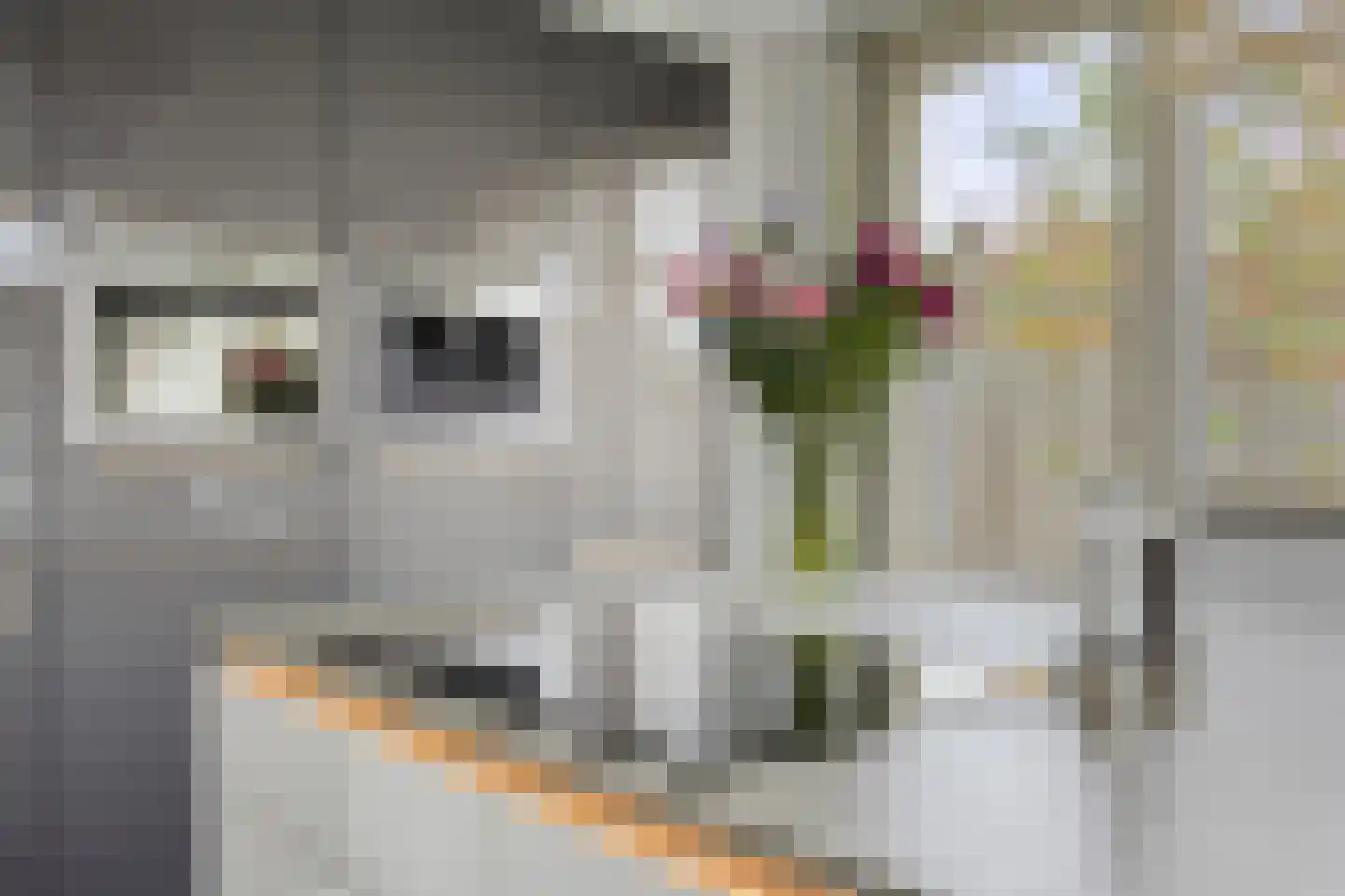 Hekkeslag 43 Uden thumbnail 13