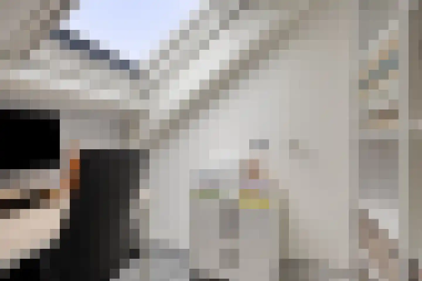 Hekkeslag 43 Uden thumbnail 33