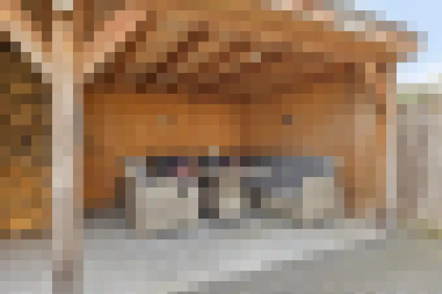 Hekkeslag 43 Uden thumbnail 39