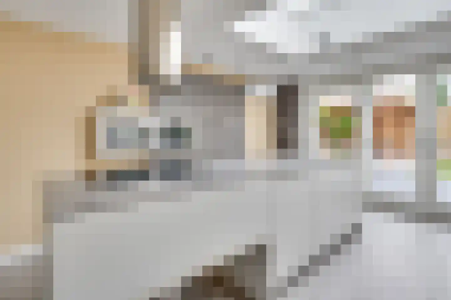 Hekkeslag 51 Uden thumbnail 16