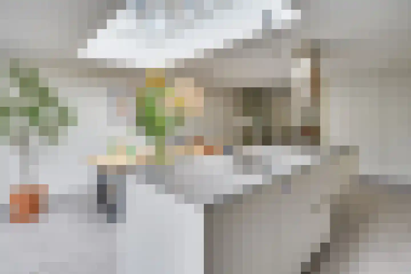 Hekkeslag 51 Uden thumbnail 17