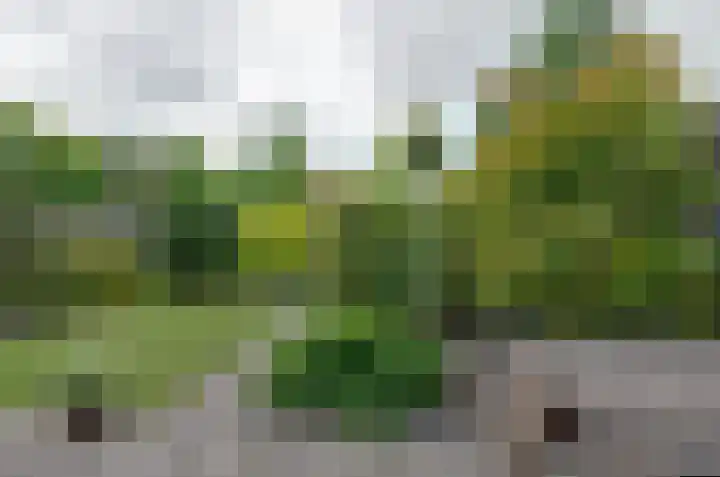 Heklanden 15 Assen thumbnail 24