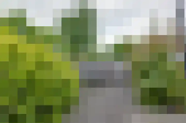Heklanden 15 Assen thumbnail 25