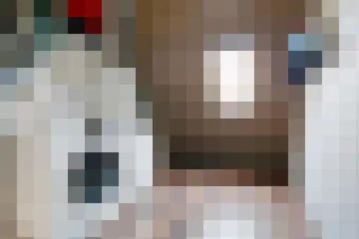 Heklat 10 Sint Pancras thumbnail 34