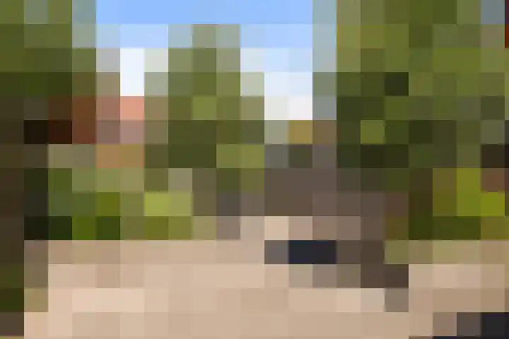 Heklat 10 Sint Pancras thumbnail 40