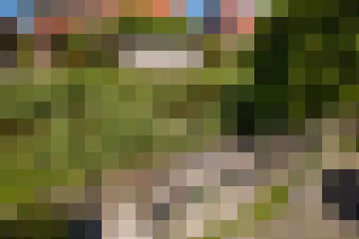 Heklat 10 Sint Pancras thumbnail 43