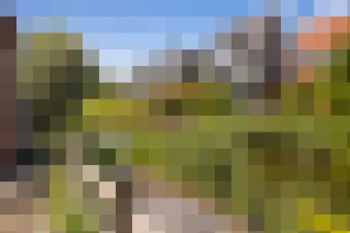 Heklat 10 Sint Pancras thumbnail 44