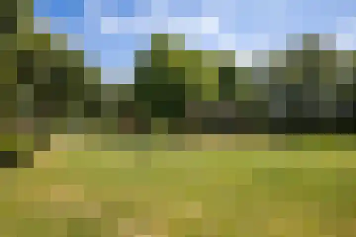 Heklat 10 Sint Pancras thumbnail 7