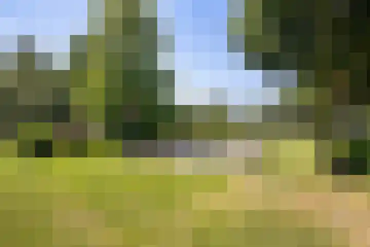 Heklat 10 Sint Pancras thumbnail 8