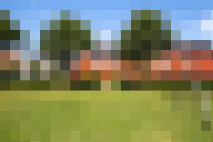 Heklat 10 Sint Pancras thumbnail 9